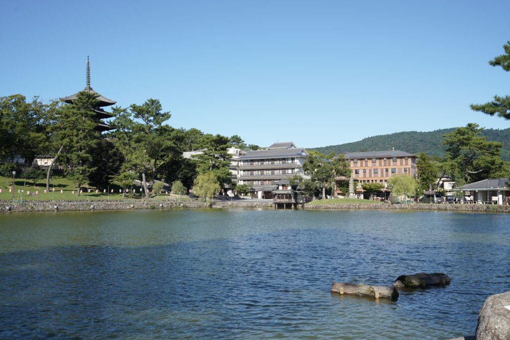 奈良市七五三(753)_猿沢池