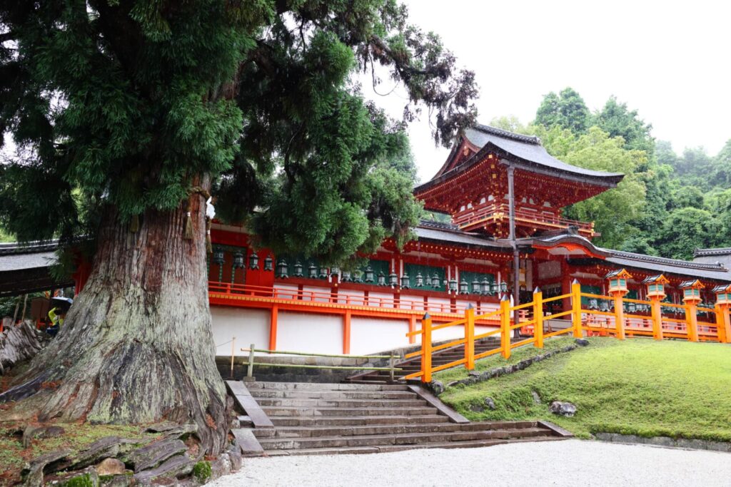 春日大社_奈良市の七五三に人気の神社