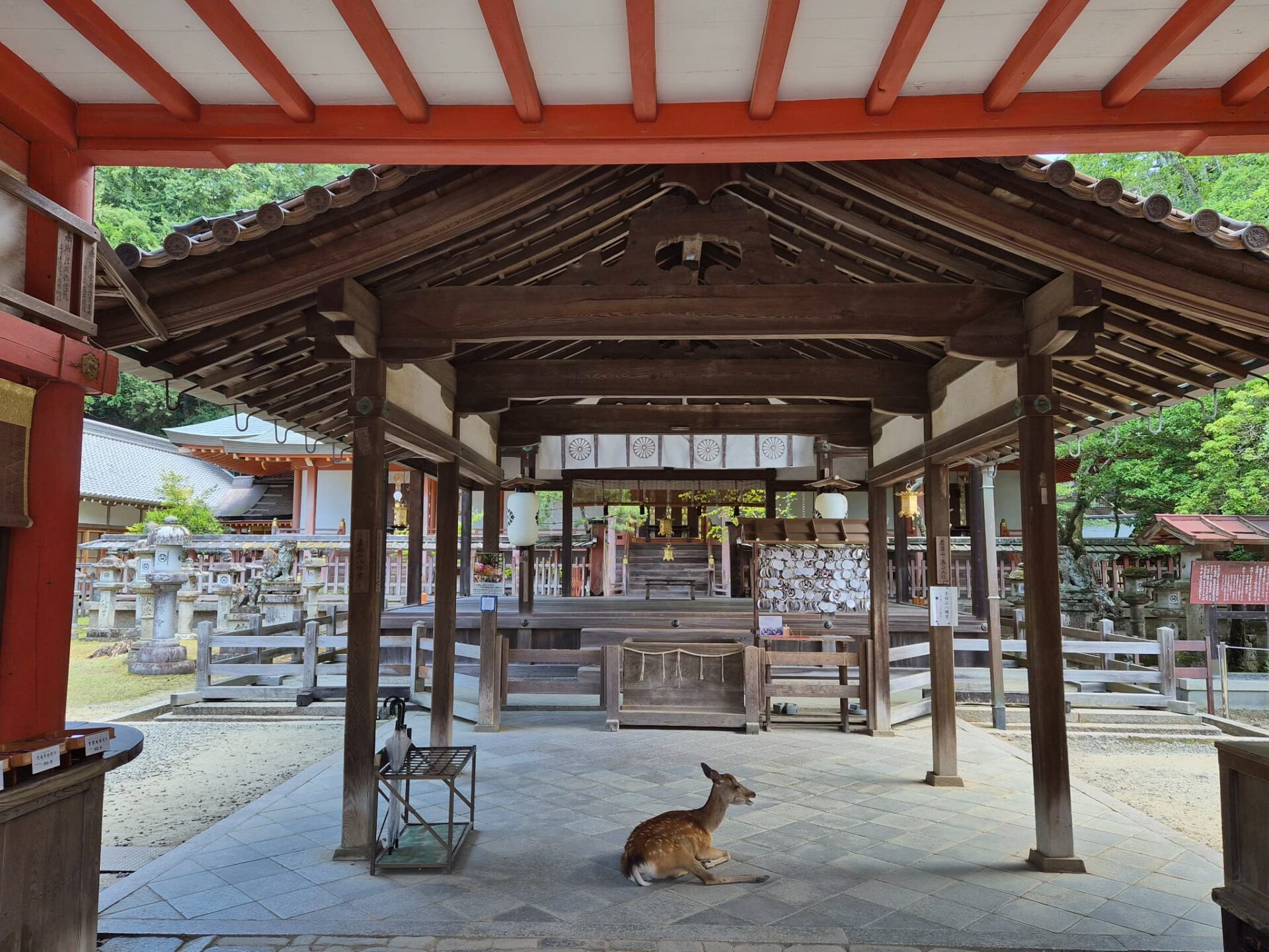 手向山八幡宮の七五三ガイド|奈良市で七五三のお参り・ご祈祷におすすめ神社